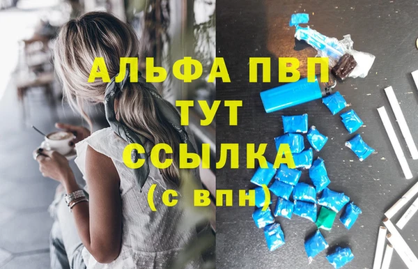 ECSTASY Гусь-Хрустальный