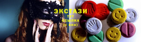 ECSTASY Гусь-Хрустальный