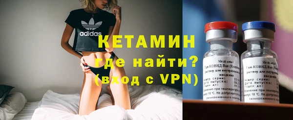 ECSTASY Гусь-Хрустальный