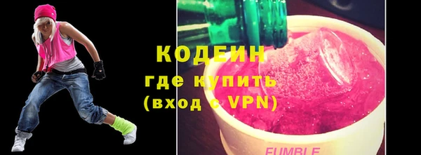 ECSTASY Гусь-Хрустальный