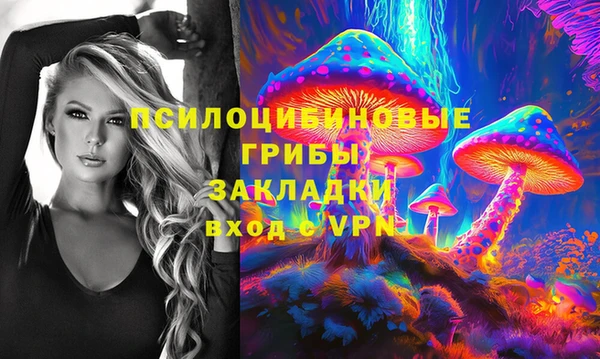 ECSTASY Гусь-Хрустальный