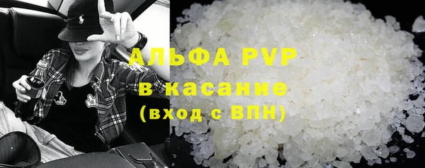 ECSTASY Гусь-Хрустальный