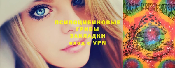 винт Дмитров