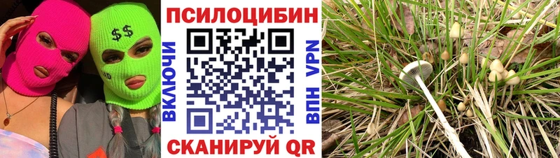 Галлюциногенные грибы Magic Shrooms  Купить где  Новотитаровская 